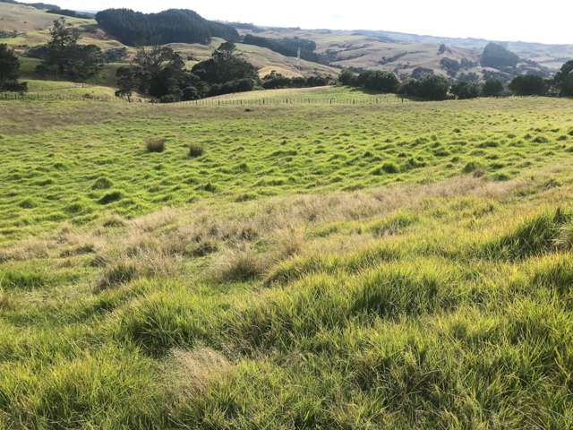 1436 Old North Road Helensville_2