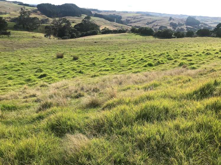 1436 Old North Road Helensville_2