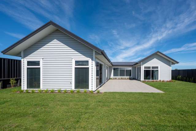 Direct From the Developer