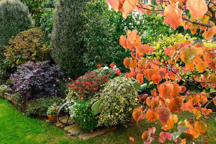 17 Suffolk Crescent Feilding_17