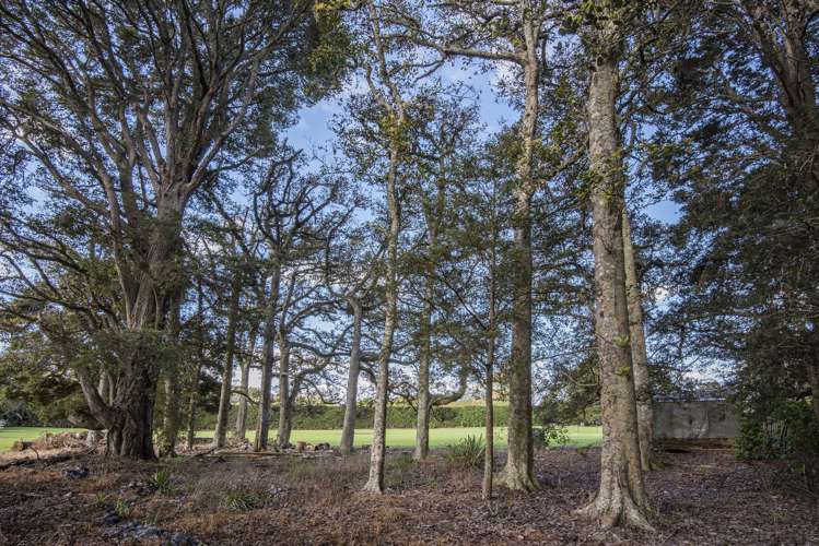 253 Cemetery Road Maunu_14