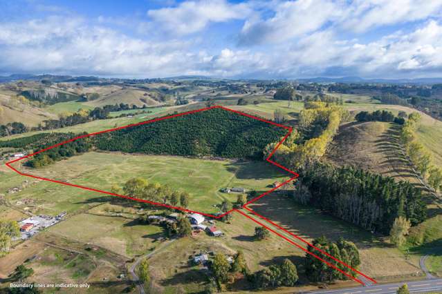 Embrace country living with easy access to Taupo