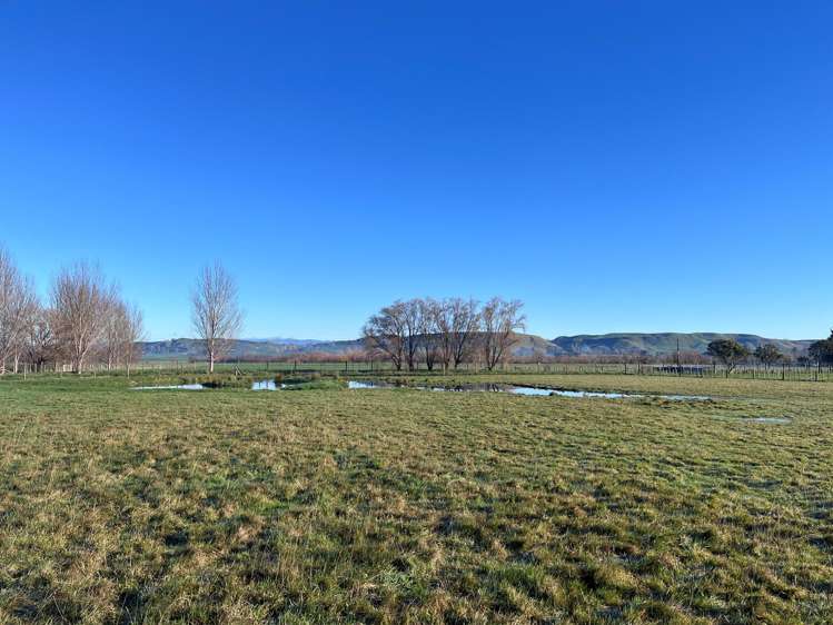 482 Porangahau Road Rd2, Waipukurau_4