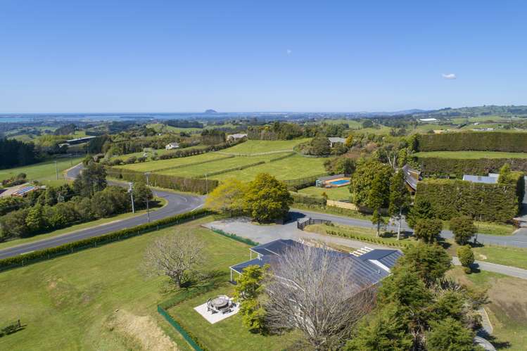598 Esdaile Road Whakamarama_4
