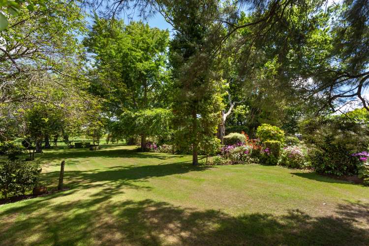 1198 Tauhei Road Tauhei_9