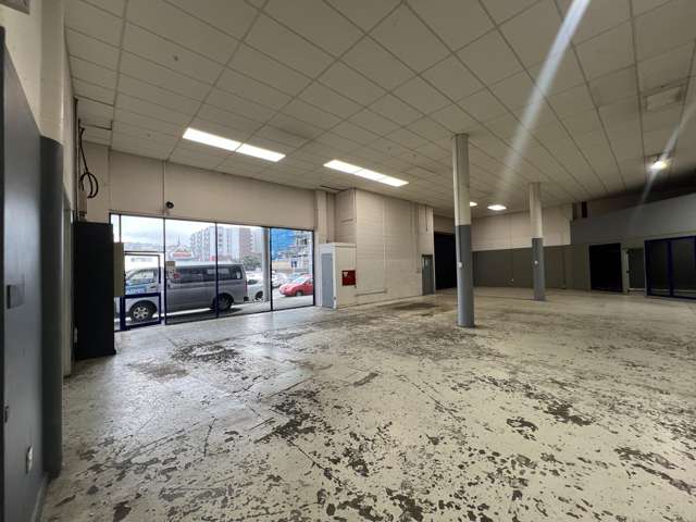 25 Home Street Mt Victoria_3