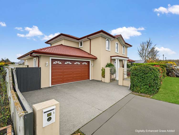 30 Thomson Street Tinwald_34