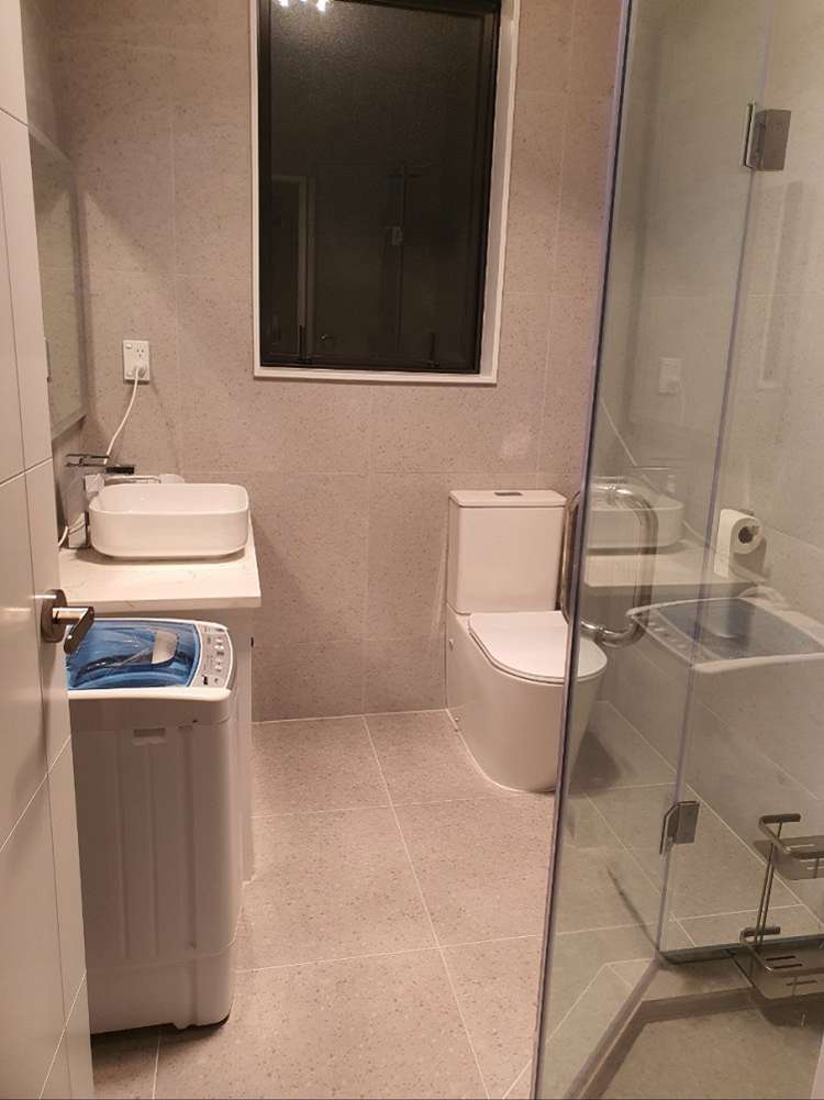 9 Tanekaha Road Flat Bush_5