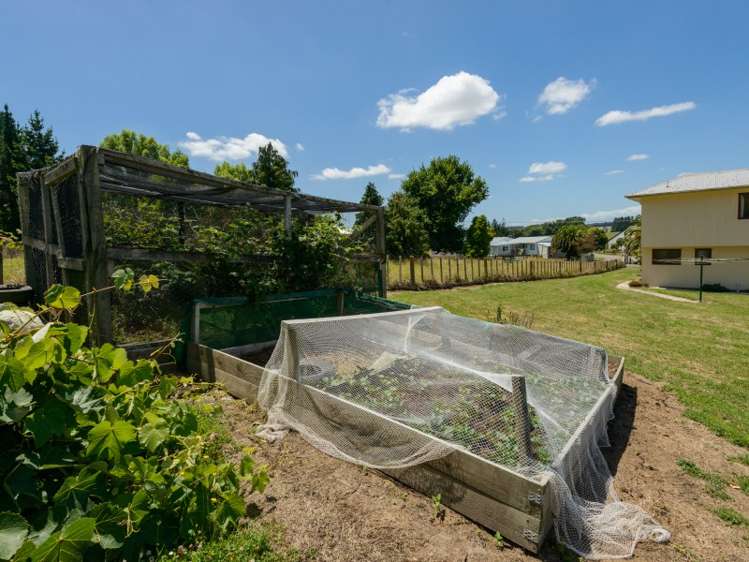 61 Hastings Street Halcombe_24