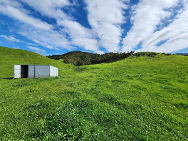 Tahuna Road Te Hoe_1