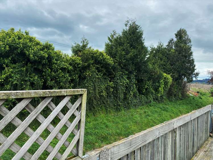 1008a Hood Street 10490_8