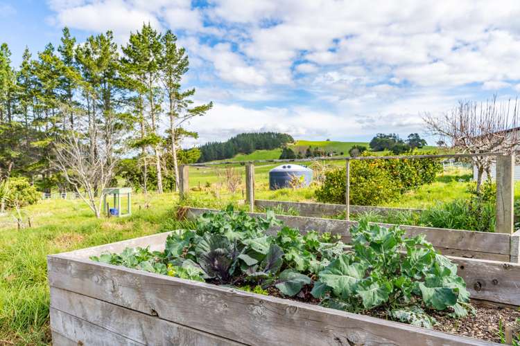 64b Ovens Road Matakohe_22