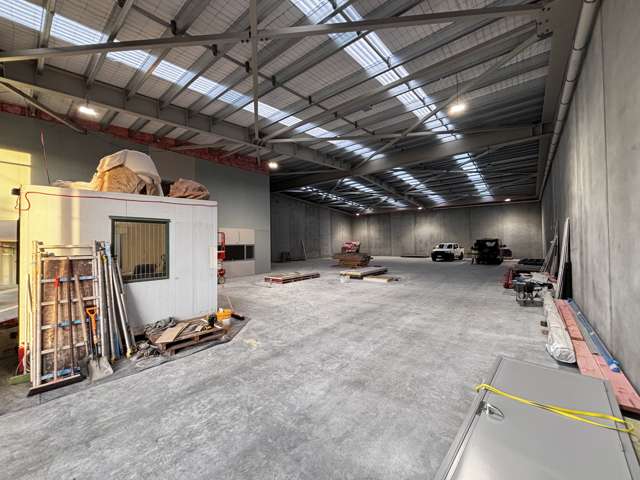 115 Nelson Street Petone_1