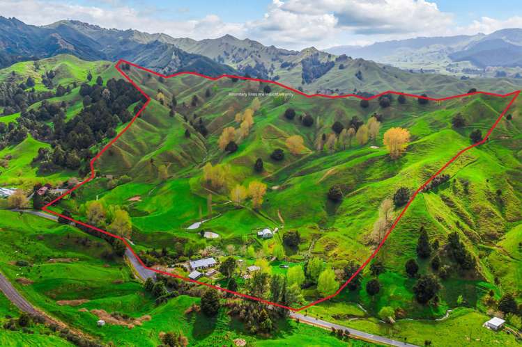 162 Okahukura Saddle Road_0