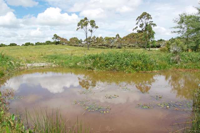 Lot 7 Rangiora Road Kaiwaka_1