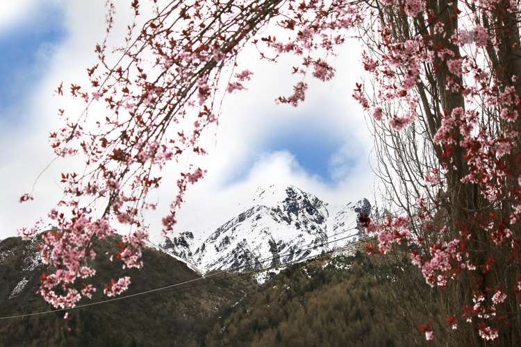 19 Criterion Street Arrowtown_19