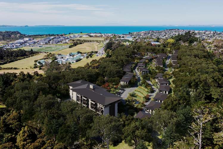 251 Glenvar Road Long Bay_2