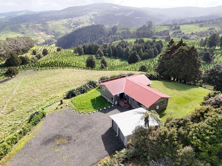 Lot 2 Mangatu Road Dargaville Surrounds_10