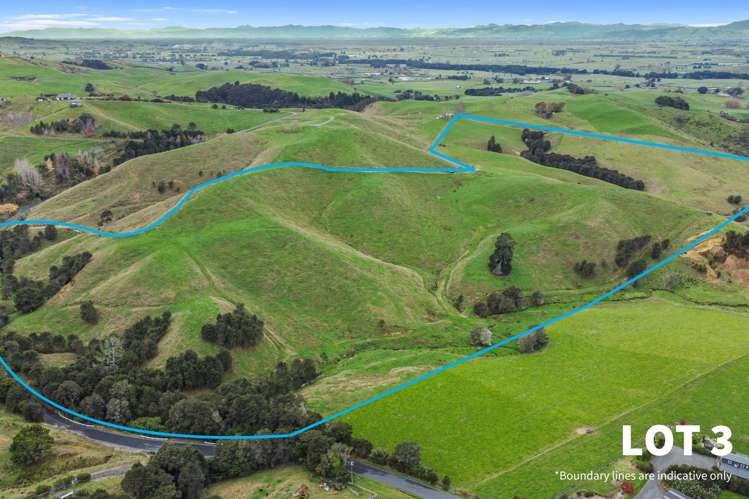 364 Quine Road Tahuna_3