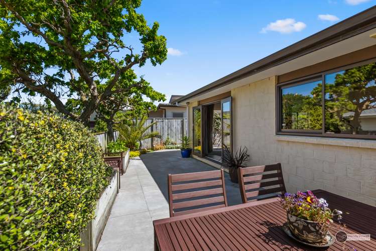 3 Cataldo Mews Avalon_19