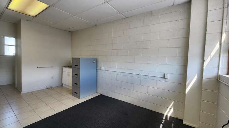Level 1 Studio/123 Manukau Road Epsom_5
