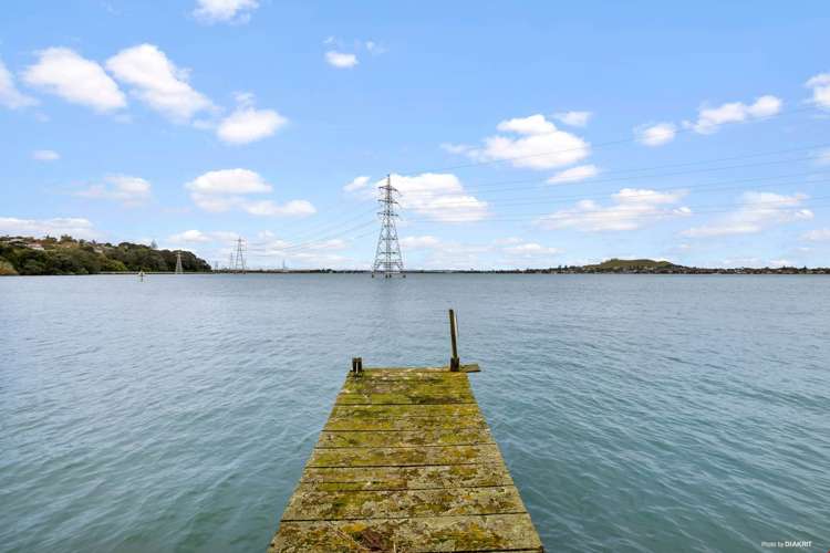 21 Frederick Street Hillsborough_0