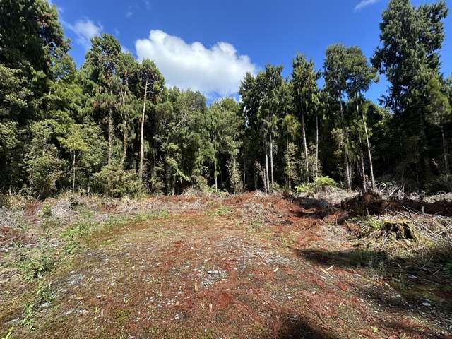 5 Jackson Place Kumara Junction_3