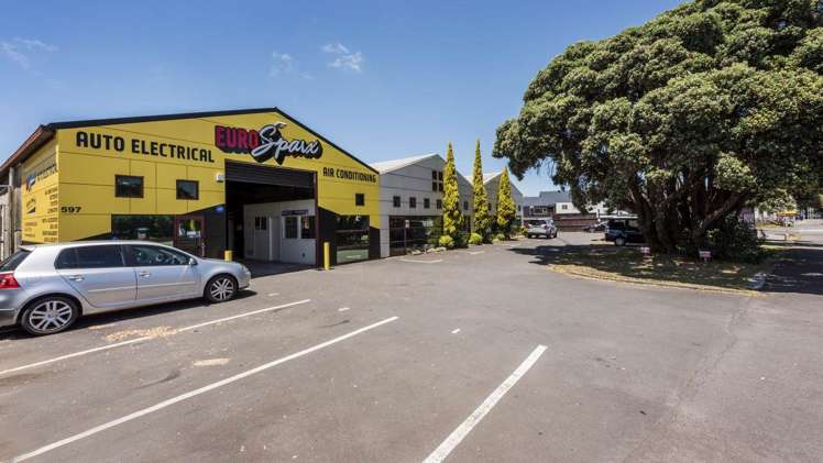 597 Rosebank Road Avondale_12