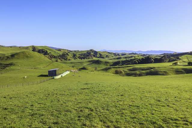 189 Pahihi Road Hauraki Surrounds_2