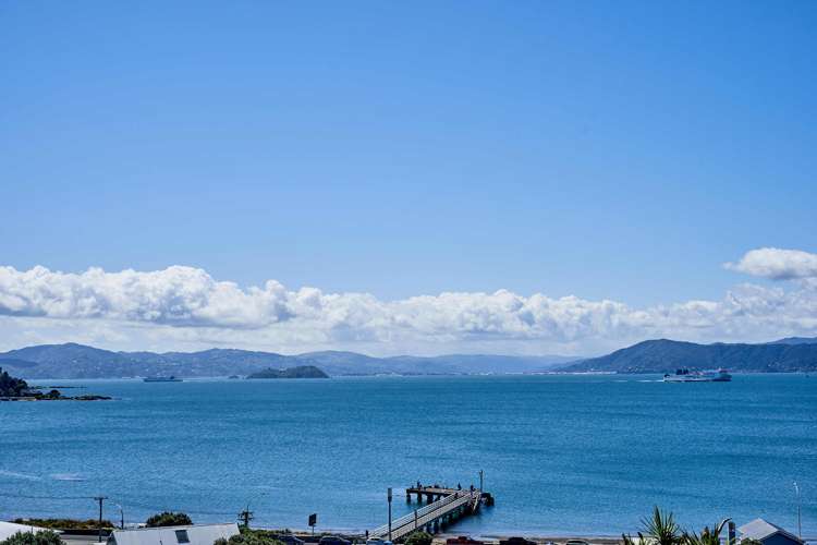 30 Ferry Street Seatoun_7