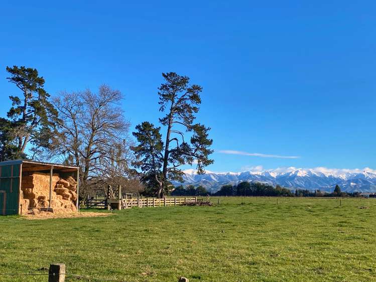 535 Perrys Road Carterton_15