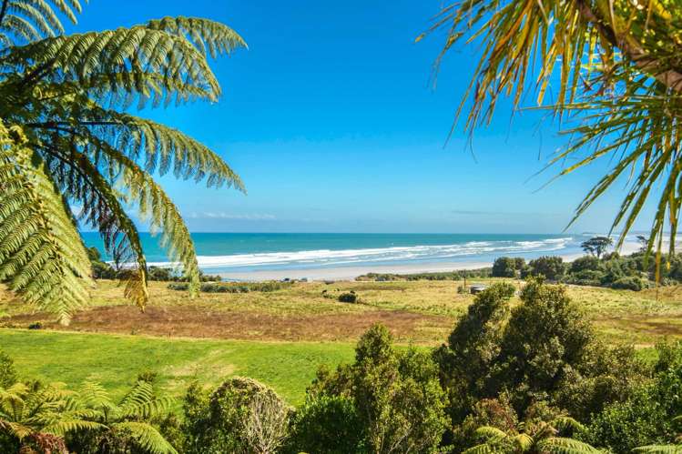 17 Fairburn Way Charleston_3