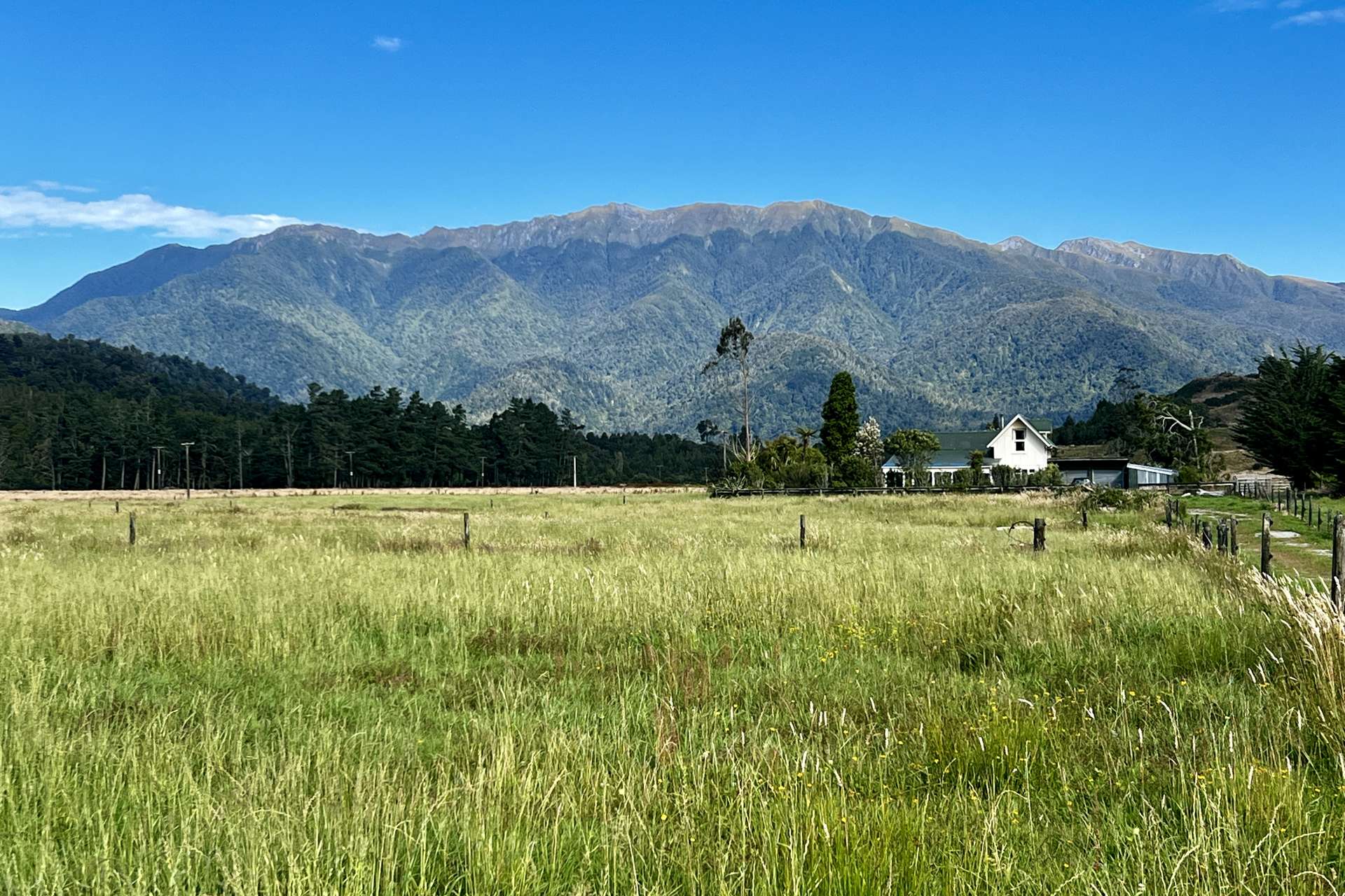 1100 Nikau Road, SH67 Mokihinui_0