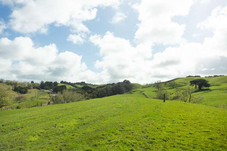 Lot 2 Boler Road Tauhoa_9