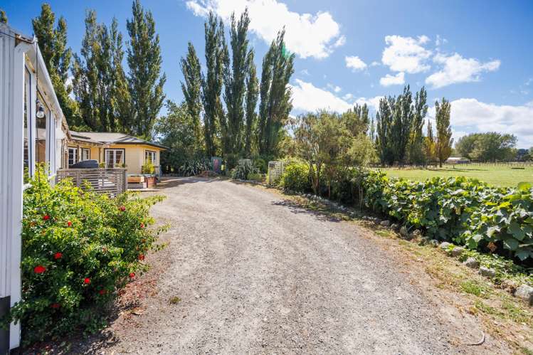 1136 Rangitikei Line Newbury_25