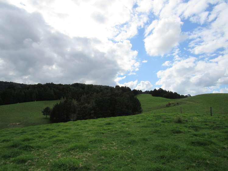 Bisset Road Kaikohe_12