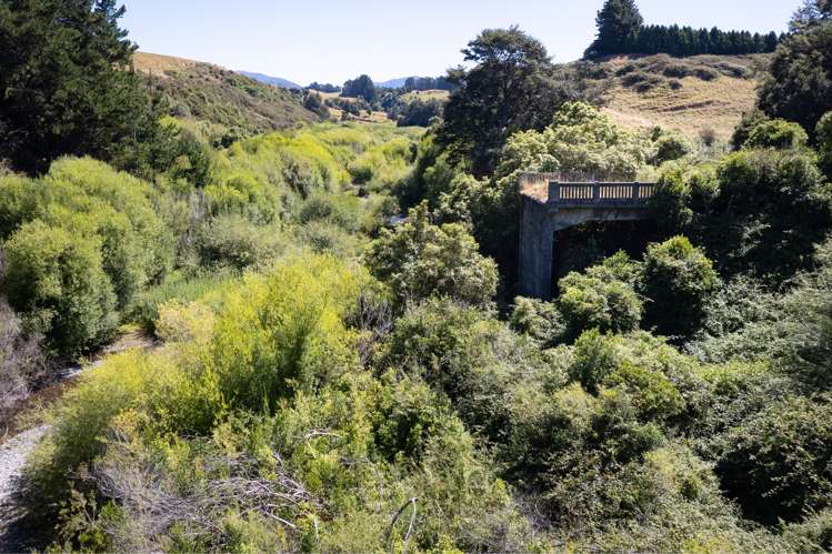 75920 State Highway 2 Norsewood_20