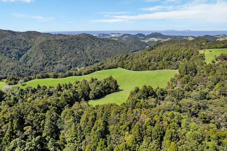 123 Waipipi Road Whananaki_4