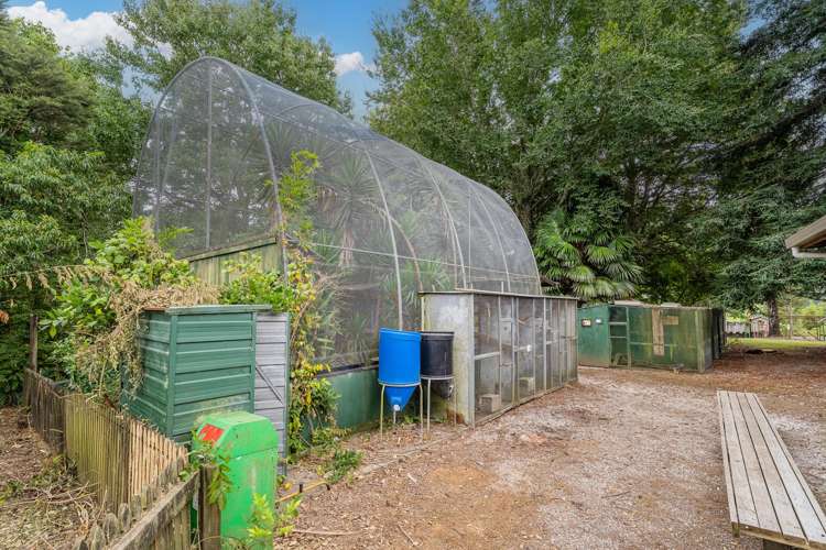 365 Mill Creek Road Whitianga_38