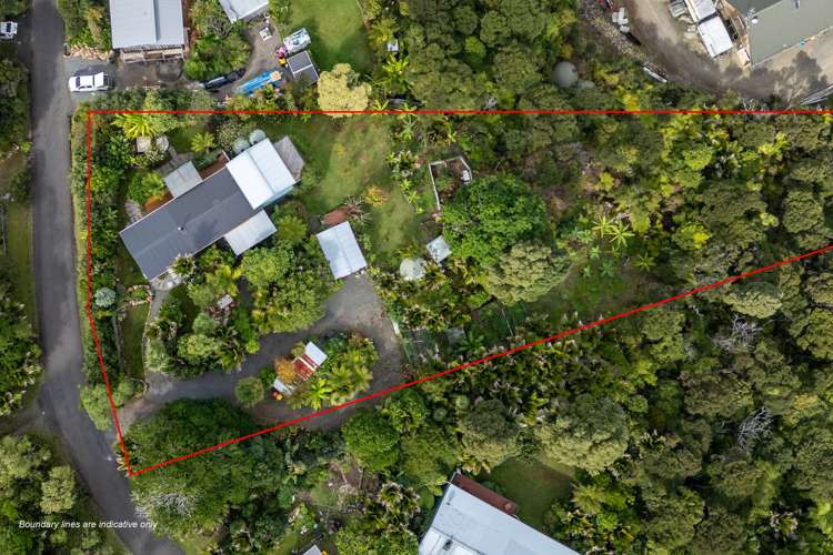 15 Puriri Place Coromandel_4