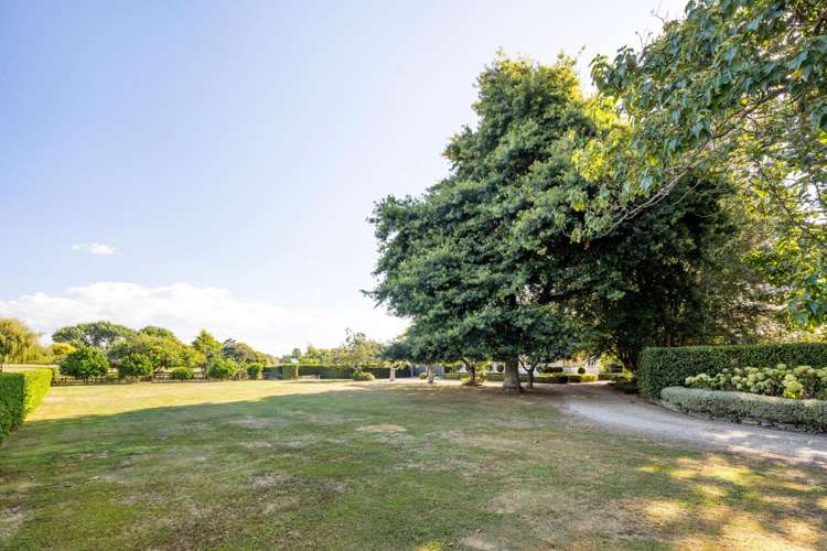 1242 Kaipaki Road Cambridge_12