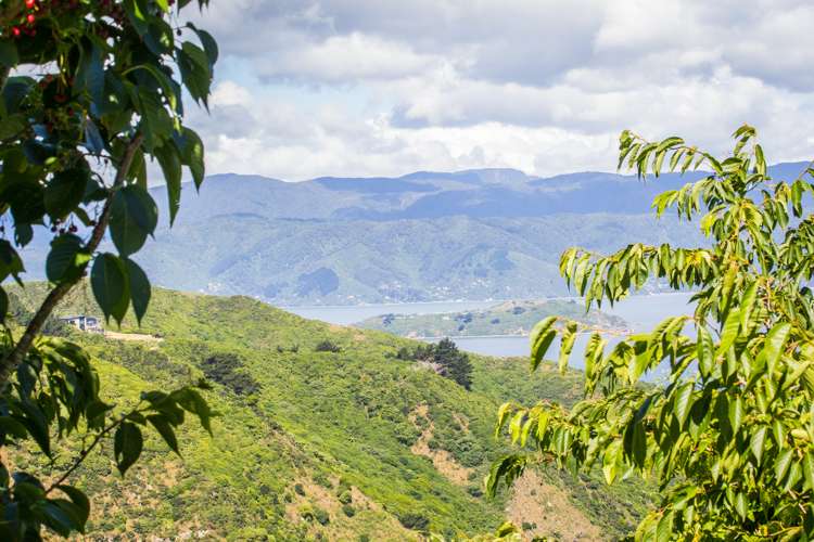 38 Rajkot Terrace Broadmeadows_27