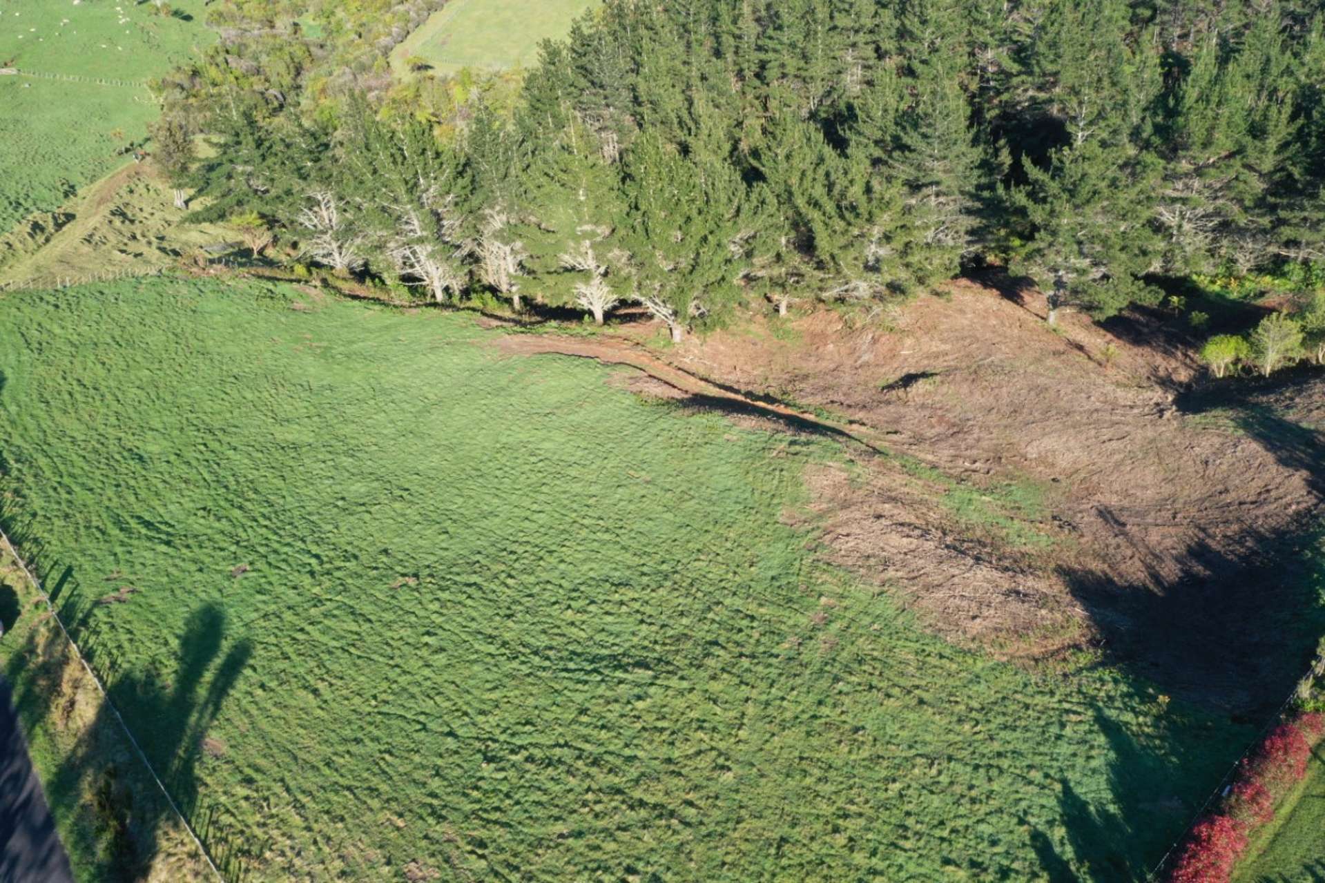 95 Te Kohanga Road Whakamarama_0