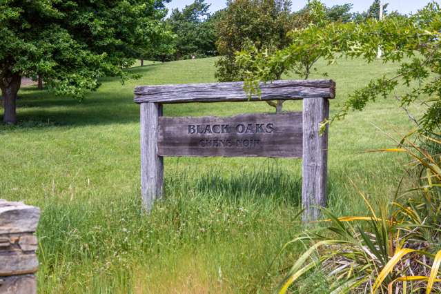 392h Black Rock Road Masterton_2