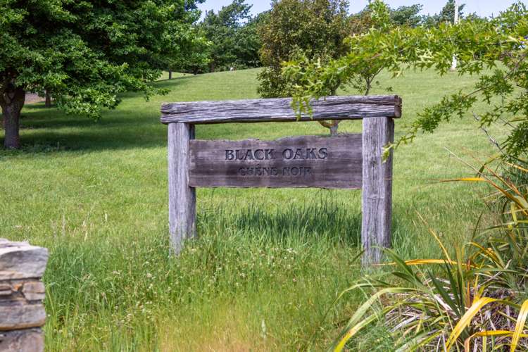 392h Black Rock Road Masterton_2