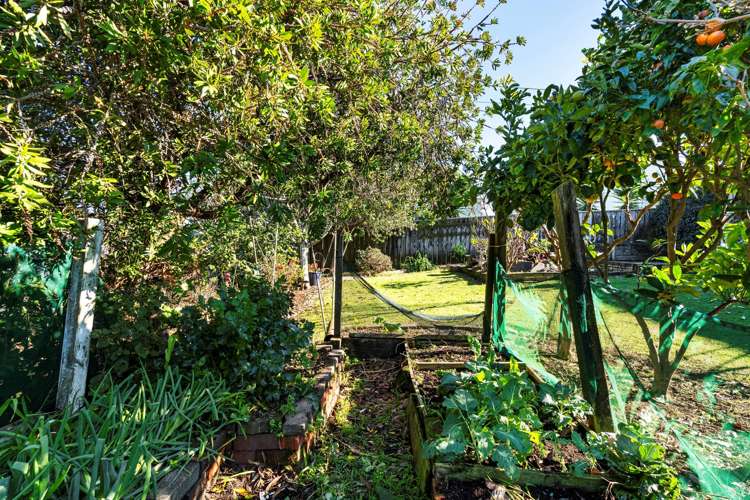 15 Marama Crescent Spotswood_14
