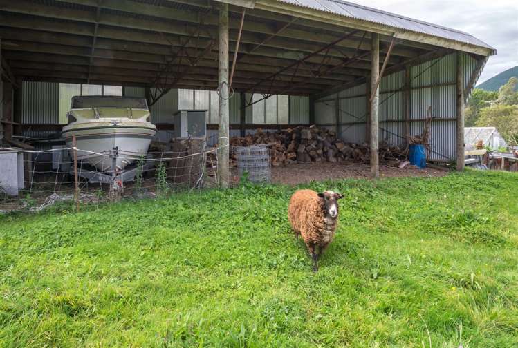 64 Hills Road Rai Valley_14