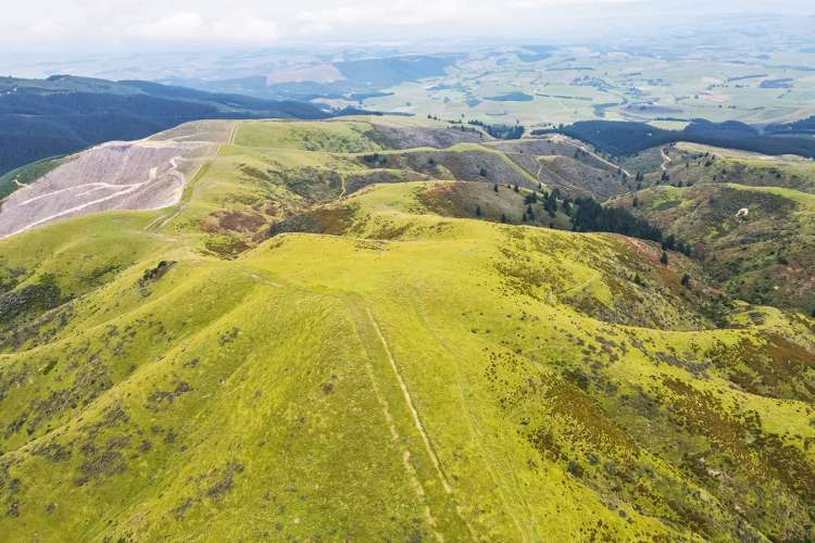 Mcintosh Road Geraldine_1