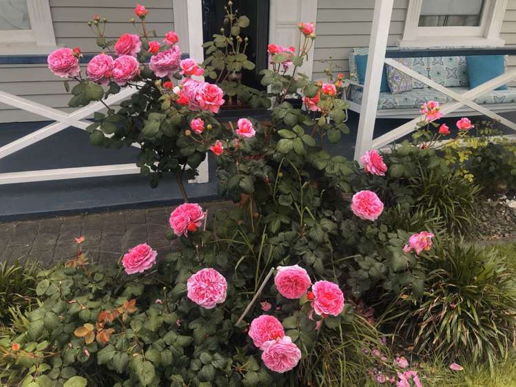 1/66 Verran Road Birkdale_20