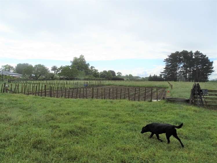 13 Shaftesbury Road Manawaru_20